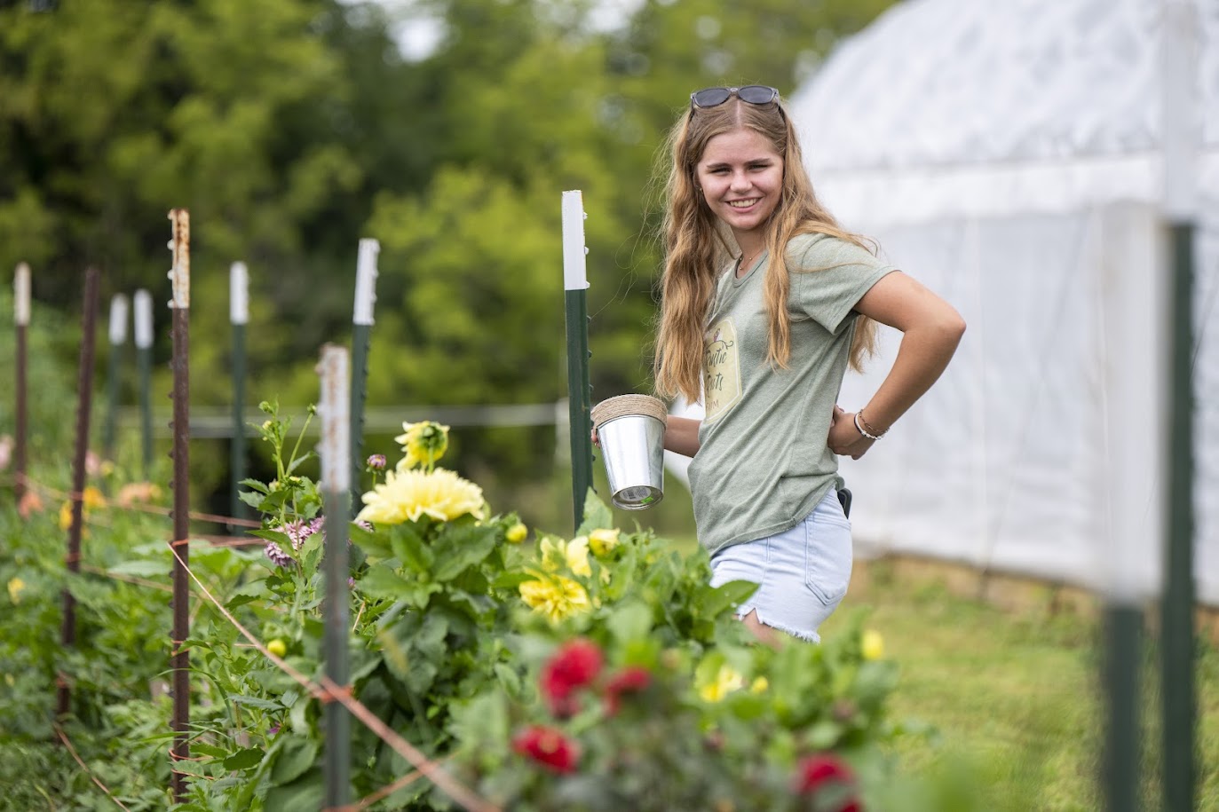 Dahlia Field.lo {Rustic Roots Farm LLC-Scott Streble Photography}.jpg